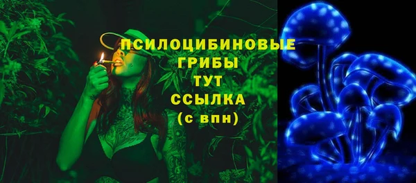 2c-b Алексеевка