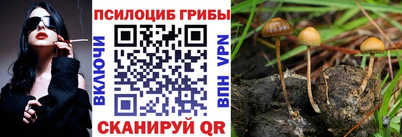 Купить закладки  Мезень  Псилоцибиновые грибы ЛСД 